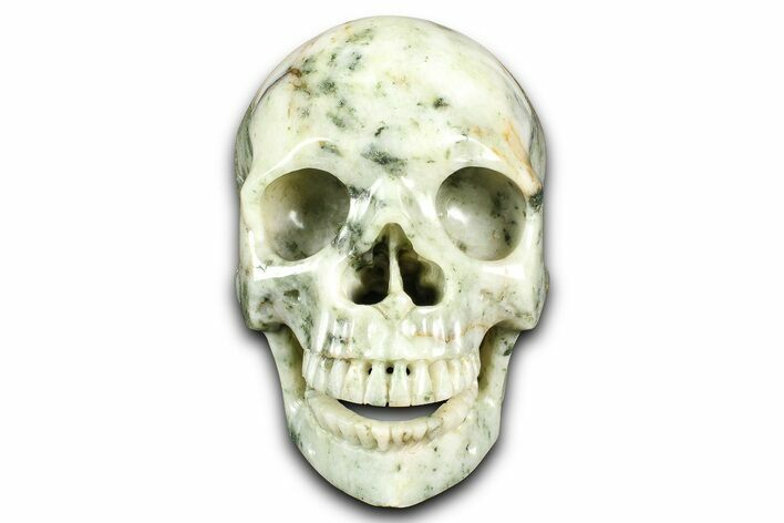 Realistic, Polished Tree Agate Skull #382185